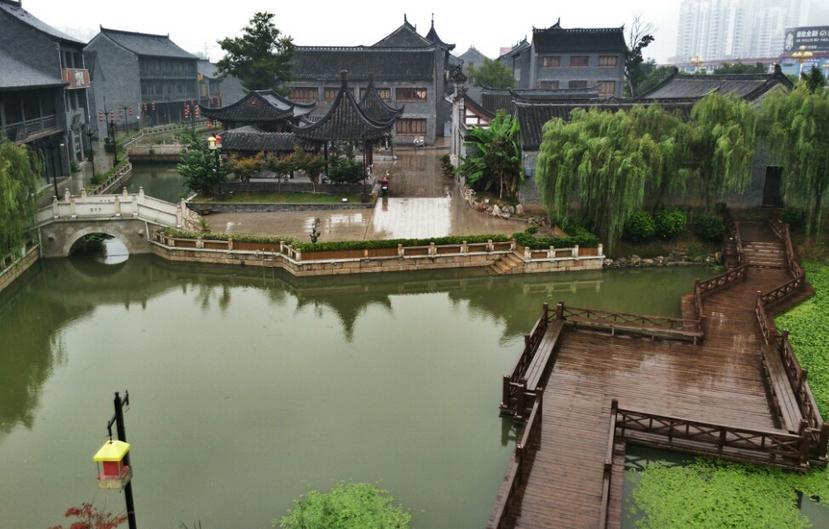 逃离金色蜜蜂森林